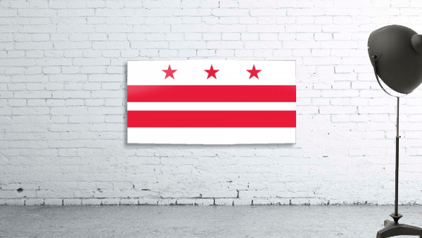 Washington D.C State Flag Wall Preview