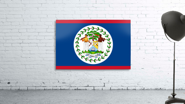 Belize Flag Wall Preview