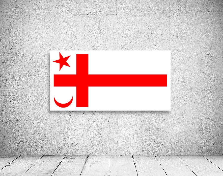 Mikmaq State Flag Wall Preview
