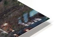 Doe 1 HD Metal print