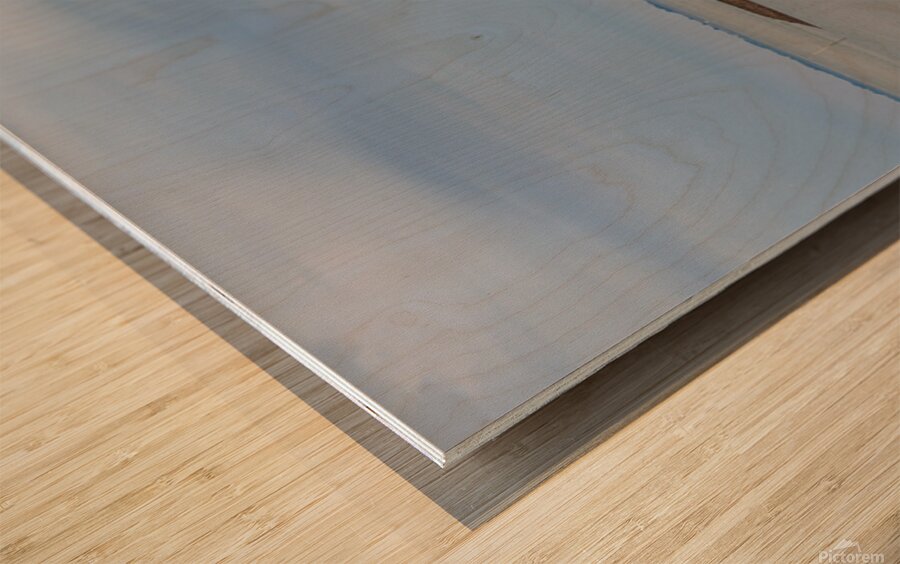 Panoramic summer photo of a bay in Cuxhaven Lower Saxony Germany.  Wood print