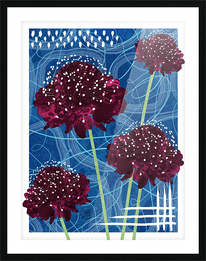 Scabiosa Picture Frame Printing