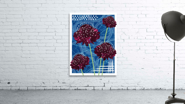 Scabiosa Wall Preview