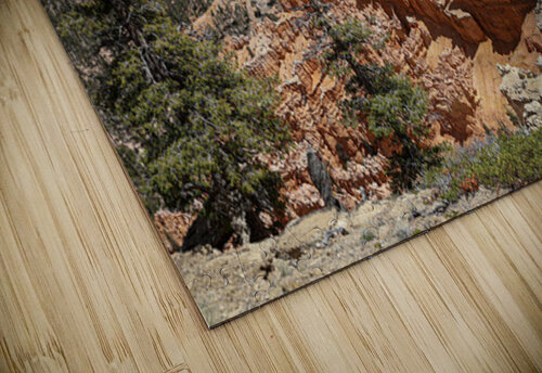Bryce Canyon  Mordy puzzle