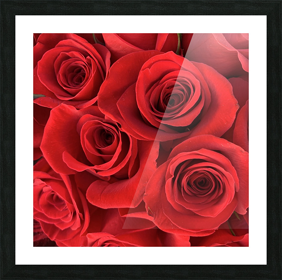 Eternal Roses Picture Frame print