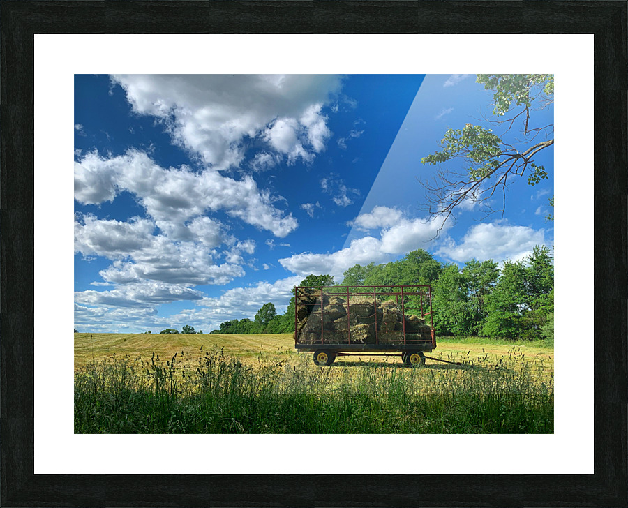 Farm Life  Picture Frame print