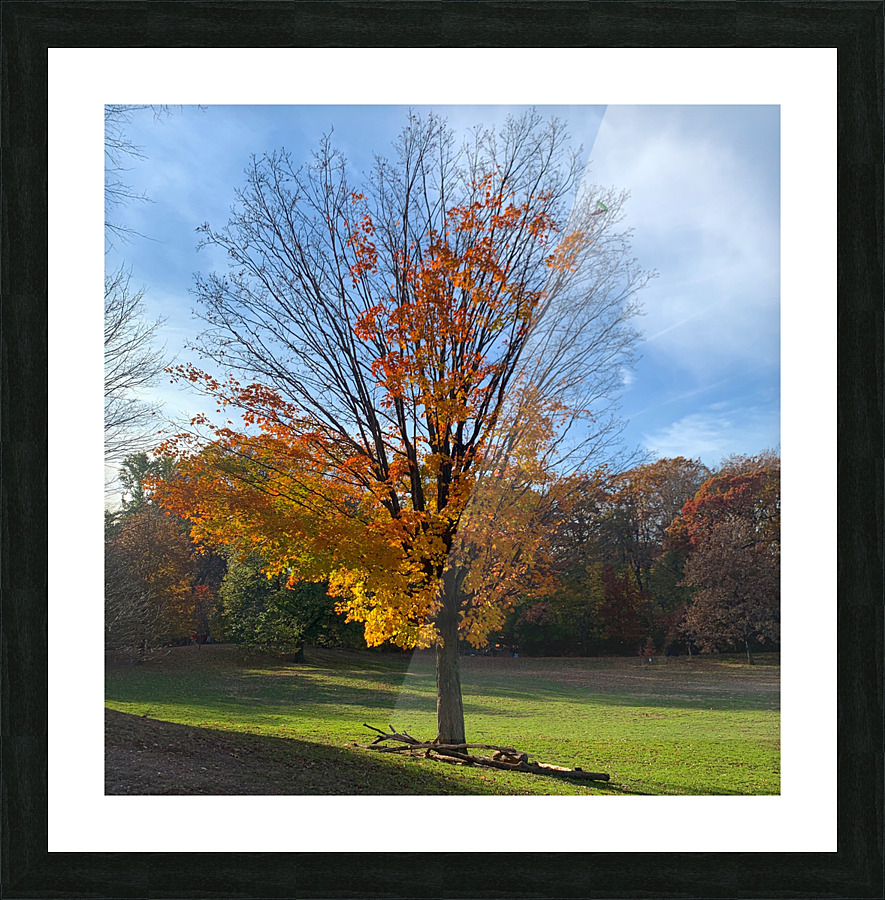 A Fall Favorite Picture Frame print