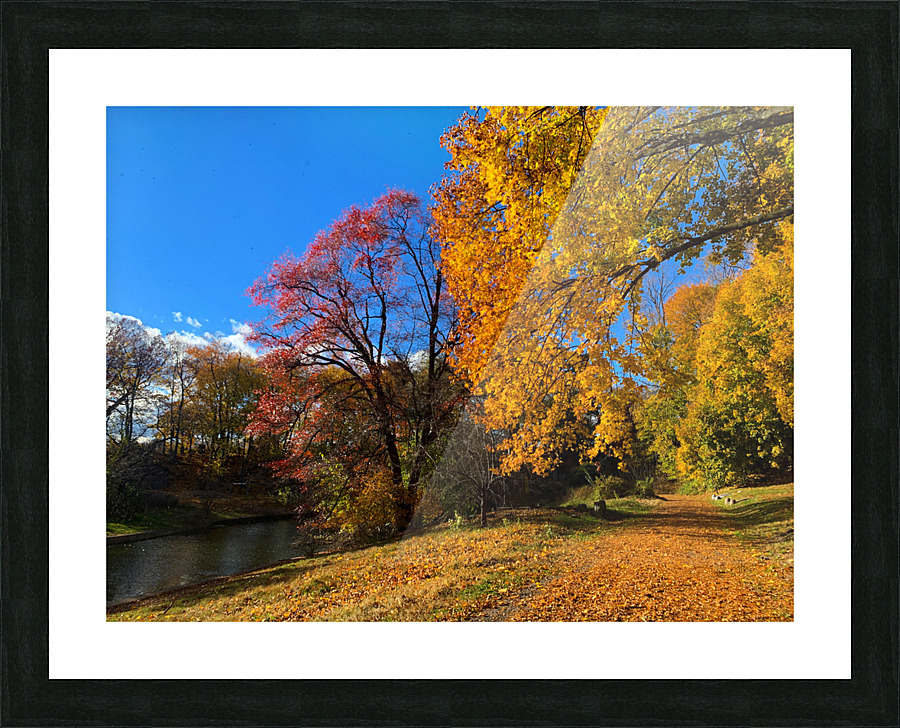 Autumn in NYC Picture Frame print