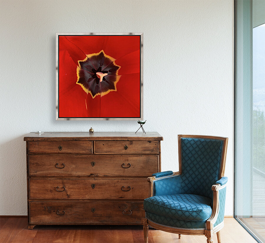 Treasured Tulip Reproduction