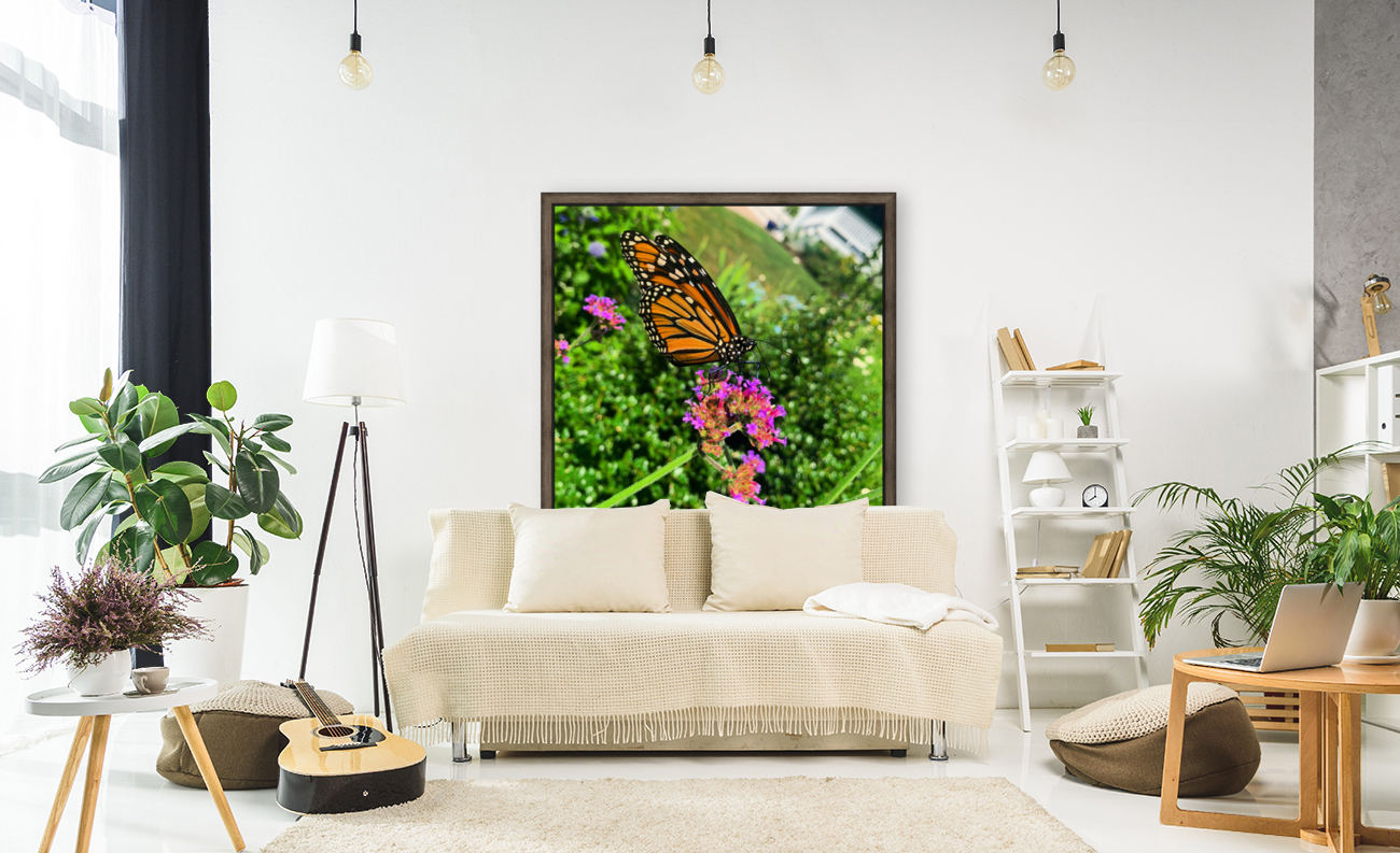 Butterfly Bliss  Reproduction