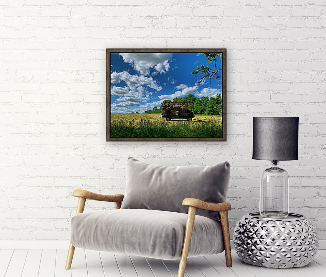 Farm Life  Reproduction
