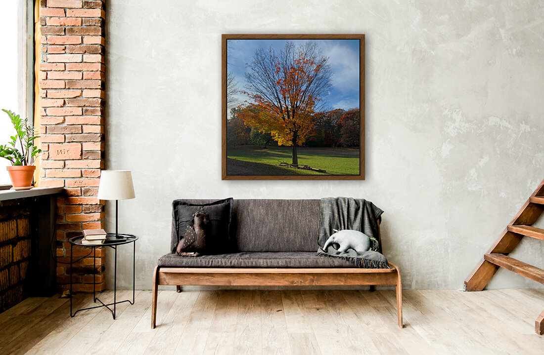 A Fall Favorite Reproduction