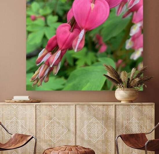 Bleeding Hearts  Reproduction