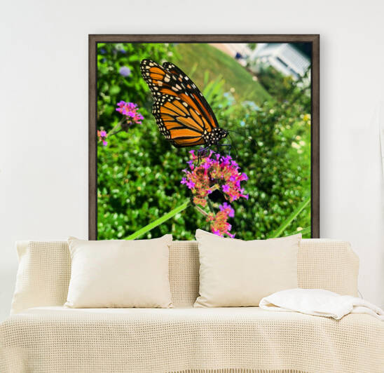 Butterfly Bliss  Reproduction