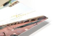 Venice Vibes HD Metal print