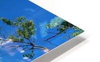 Farm Life  HD Metal print