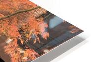Absolutely Autumn  HD Metal print