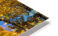 Autumn in NYC HD Metal print