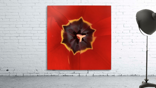 Treasured Tulip Wall Preview