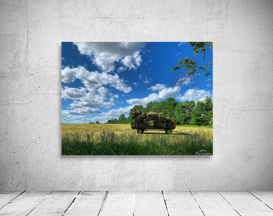 Farm Life  Wall Preview