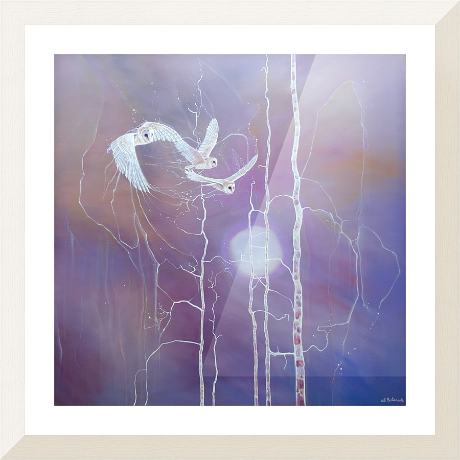 night magicians Picture Frame print