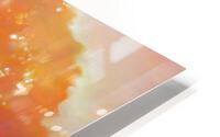 autumn radiates HD Metal print