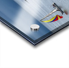  DSC9450 copy Acrylic print