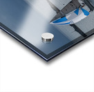  DSC9462 copy Acrylic print