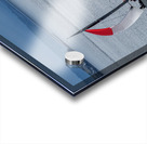  DSC9512 copy Acrylic print