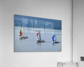  DSC9450 copy Acrylic Print