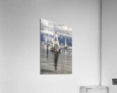  DSC8138 copy Acrylic Print