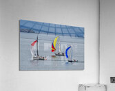  DSC9512 copy Acrylic Print