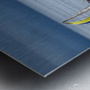  DSC9450 copy Metal print