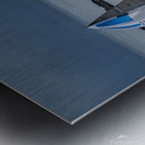  DSC9462 copy Metal print