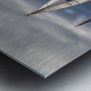  DSC8138 copy Metal print