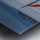  DSC9512 copy Metal print