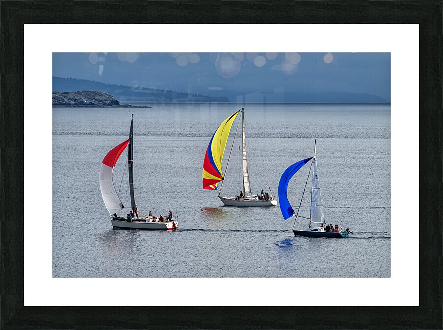  DSC9512 copy Picture Frame print