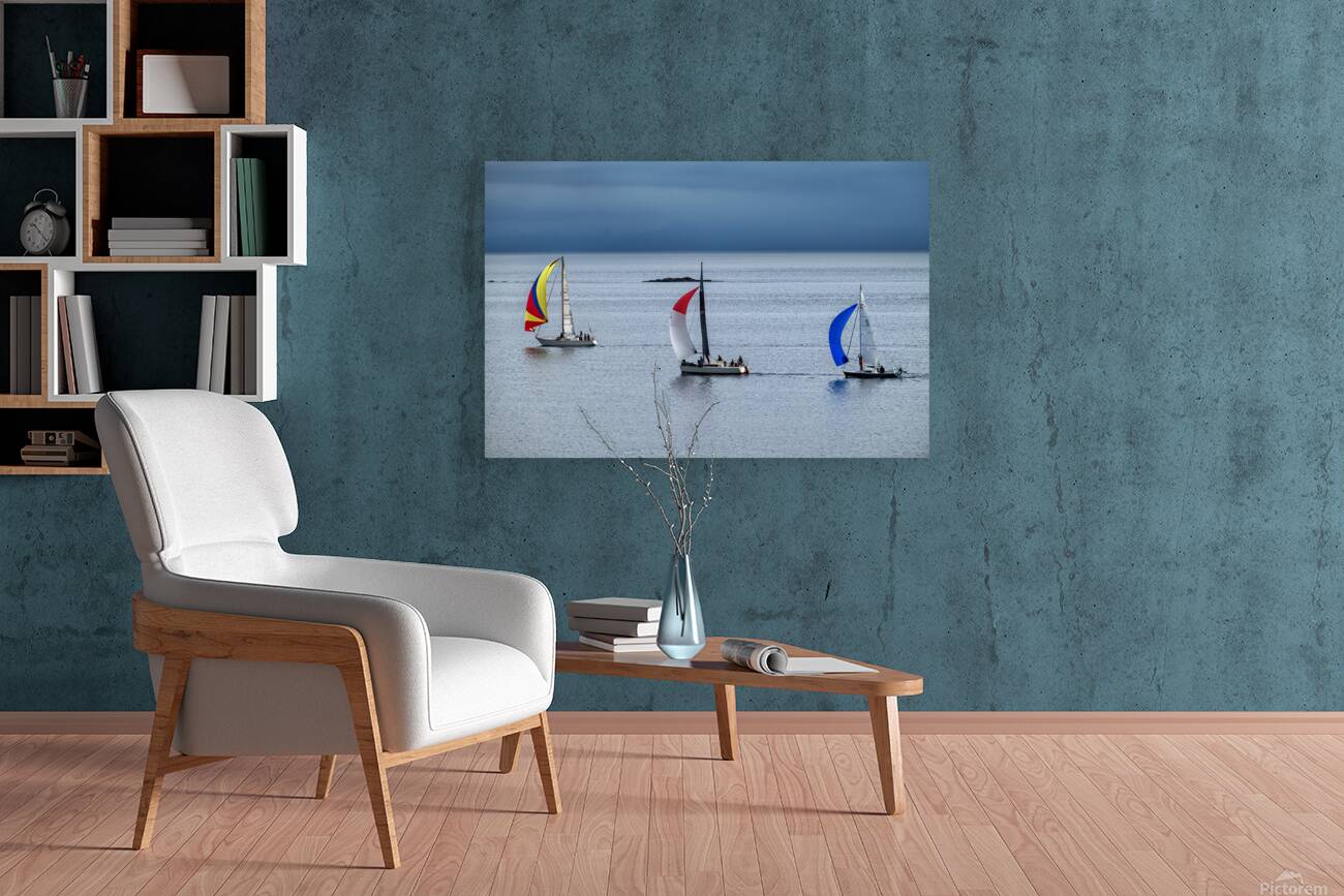  DSC9450 copy Reproduction