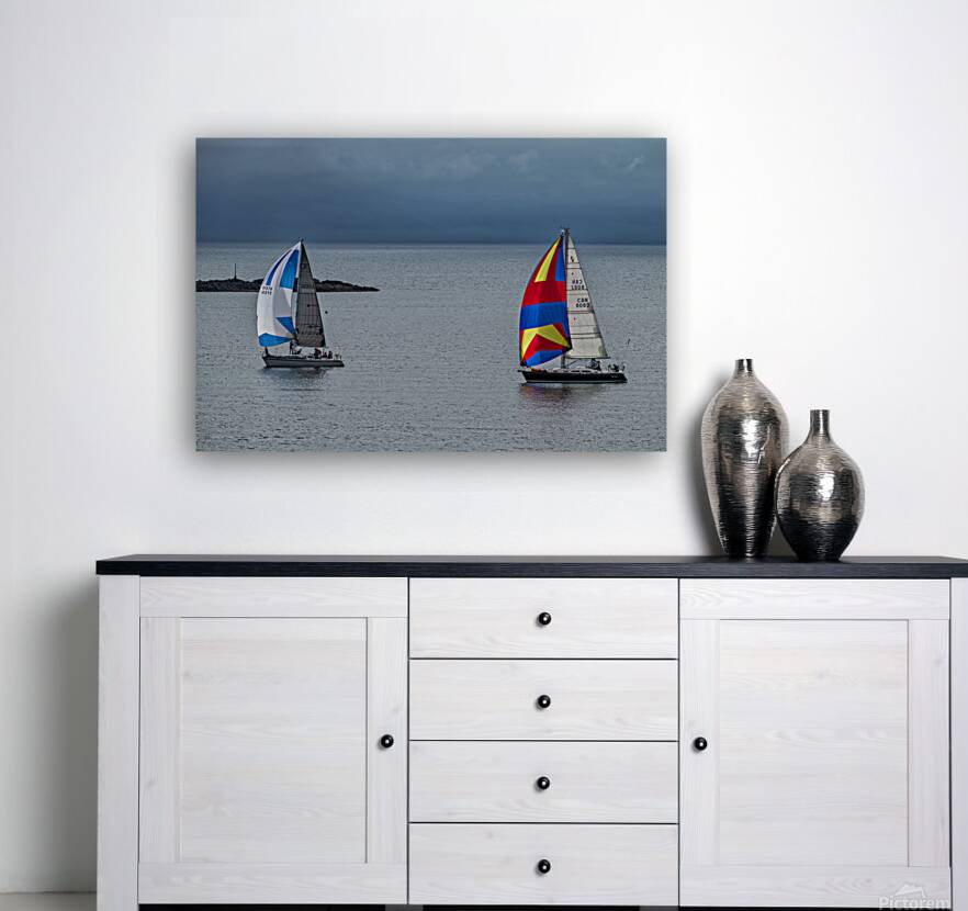  DSC9462 copy Reproduction