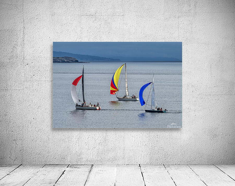  DSC9512 copy Wall Preview