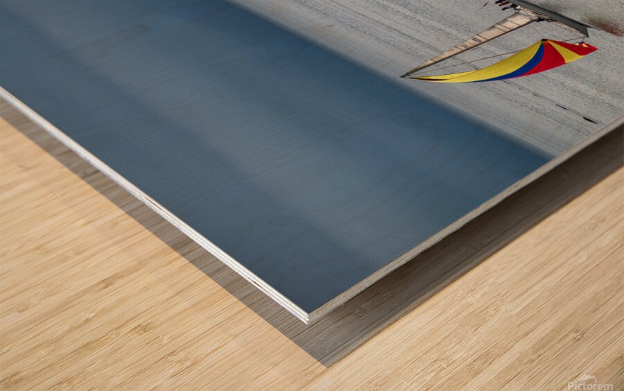  DSC9450 copy Wood print