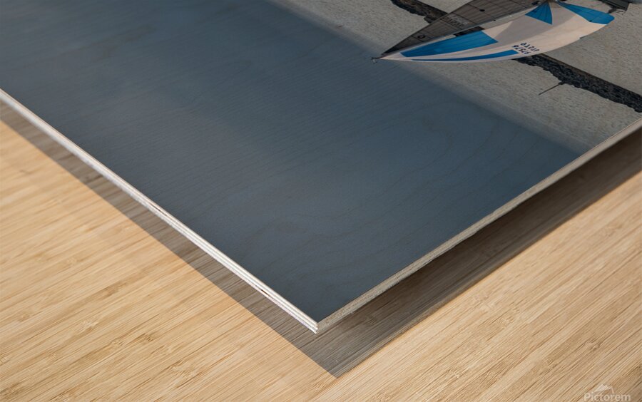  DSC9462 copy Wood print