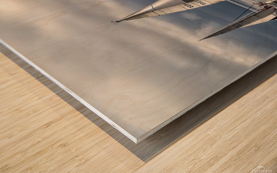  DSC8138 copy Wood print