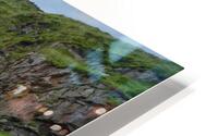  Bow Fiddle Rock  HD Metal print