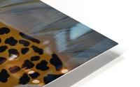 Gepard  - cheetah HD Metal print