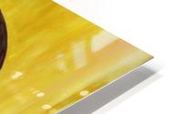 After bathing HD Metal print