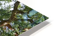 Bank under the tree HD Metal print