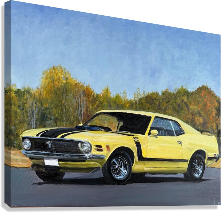 Boss 302