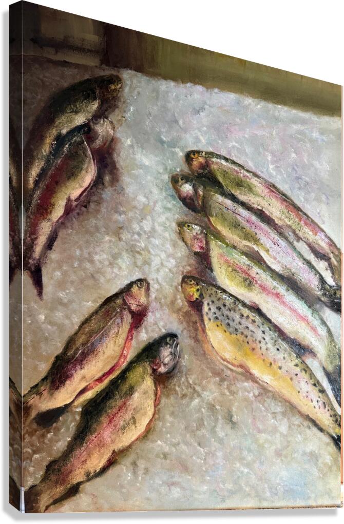 Todays Catch