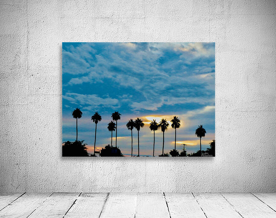 Palm Trees Wall Preview